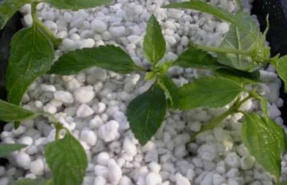 Architecture&nbsp;in&nbsp;the